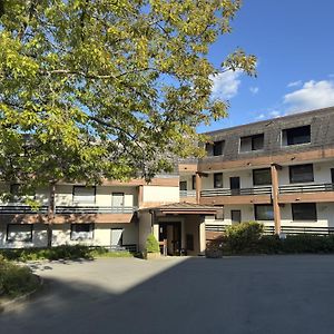 Holiday flats Winterberg - DMG01002-CYB
